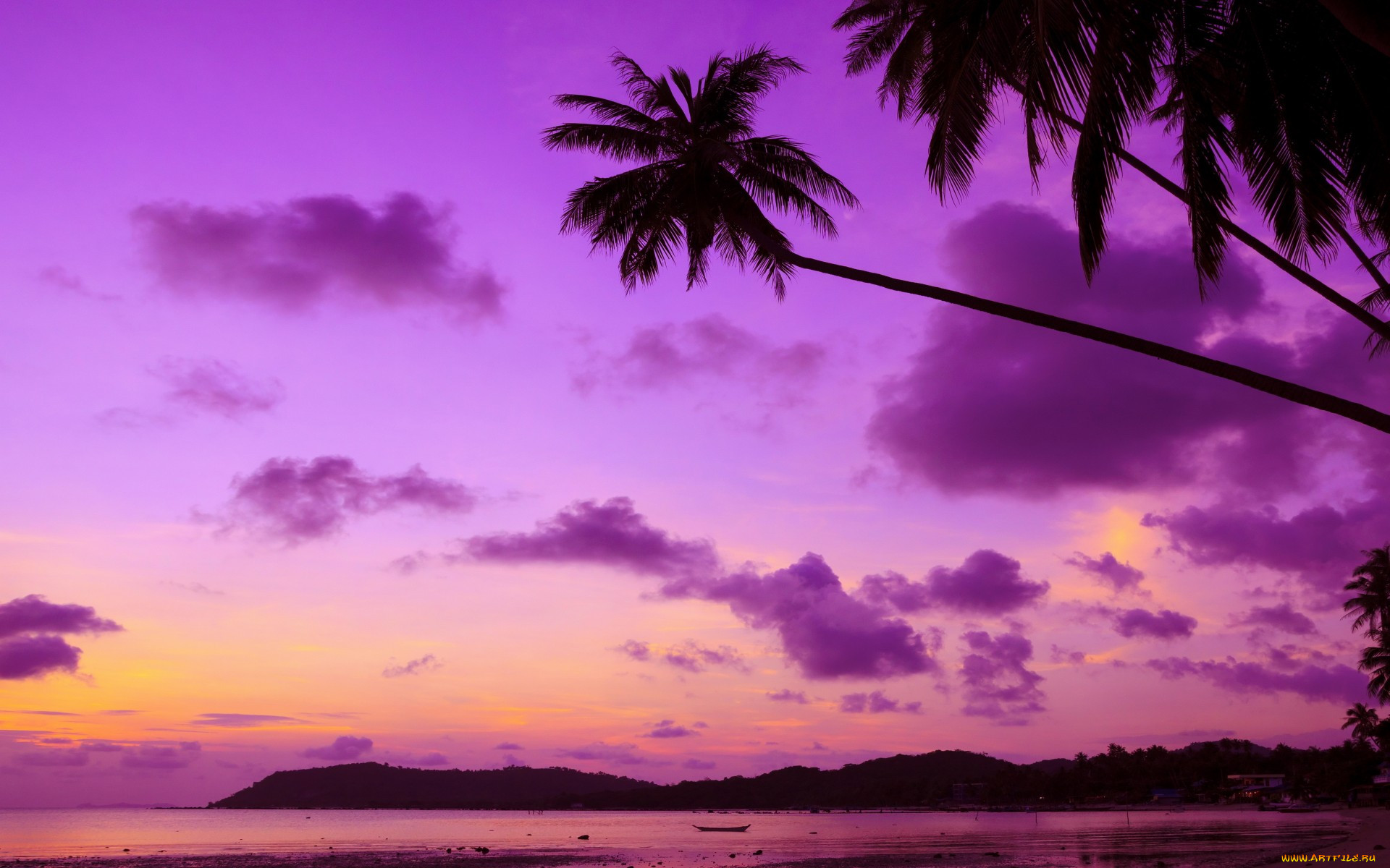 , , , , , , , purple, , , sunset, ocean, sea, palms, beach, paradise, tropical